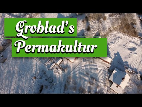 Groblad's Permakultur. Snö i Skogsträdgården