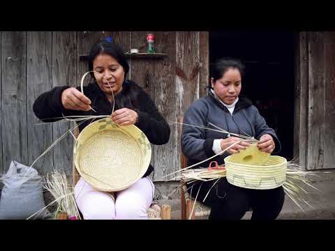 Tejidos de Palma en las Nuevas Flores Jalpan de Serra, Qro.