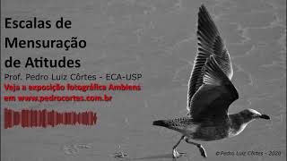 Escalas de Mensuração de Atitudes