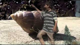 test of Giant Snails from Space