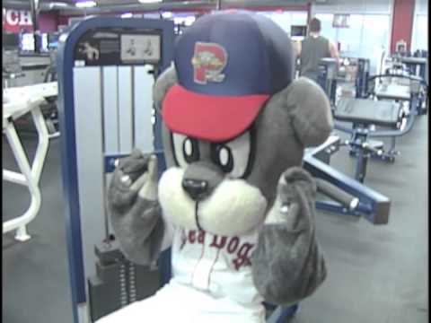 Slugger's Preseason Prep