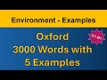Environment Examples