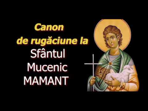 Canon de rugăciune la Sfântul  Mucenic Mamant - 2 Septembrie - slujitor Dani
