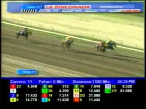 11 CARRERA SAB 9 JUNIO LA RINCONADA AUDIOHIPISMO