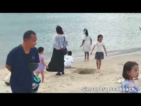 Singapore Sea Beach Trip | Beautiful Beach View | Journey with Rafik