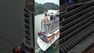 MSC SEAVIEW cruise cruzeiro navio transatlantico  santos brasil @cruzeiros2025  2025  #shorts
