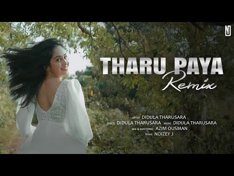 Tharu Paya (තරු පායා) Remix | Didula Tharusara | NOIZEY J