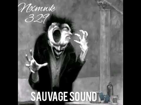 sauvage sound x niska 🧤✡️