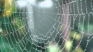 Some Artwork by Jill Ledet 0002