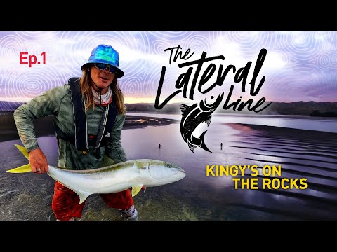 Kingfish off the Rocks
