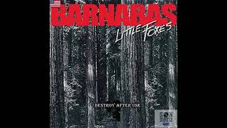 Barnabas -  Little Foxes