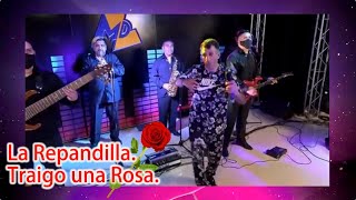 Traigo Una Rosa (En Vivo) Lyrics English Translation