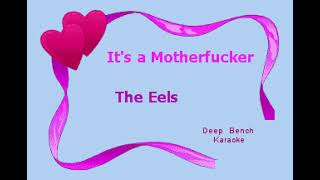 the eels - It&#39;s a Motherfucker (Custom Karaoke Cover)