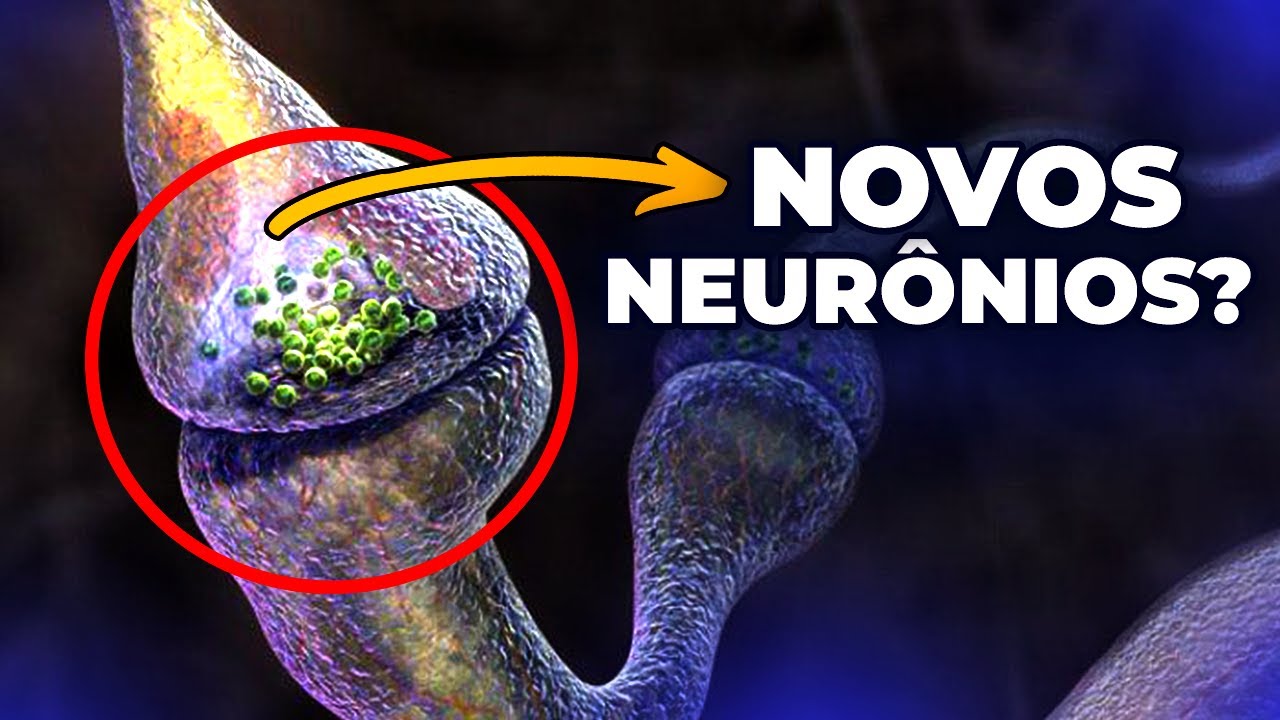 COMO CRIAR NOVOS NEURÔNIOS...🤔?