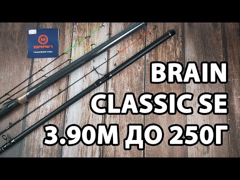 Фідер Brain Classic SE 3.90м / до 250г — екстремальний фідер для великих навантажень + 3 вершинки в комплекті