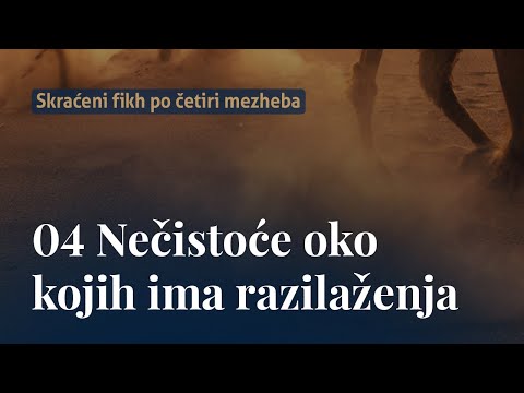 Nečistoće oko kojih ima razilaženja - dr. Zijad Ljakić