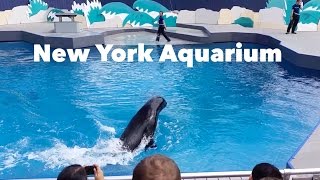 New York Aquarium in Coney Island, Brooklyn