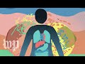 What Is The Gut Microbiome