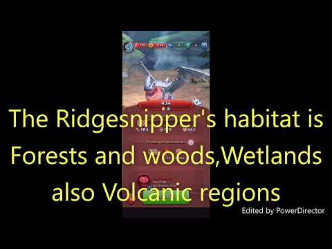 DRAGONS TITAN UPRISING THE RIDGESNIPPER