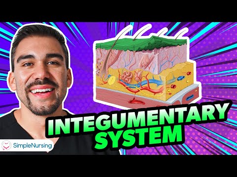 Mastering Integumentary System: Nursing Student Essentials