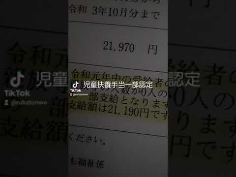 年収240万の児童扶養手当の金額