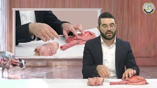 📐 מסכת חולין בהמחשה חיה! דף י"ט ע"א: הגרמה - פרק 12 🔪 | הרב שמעון אופן בהמחשה ויזואלית 📸