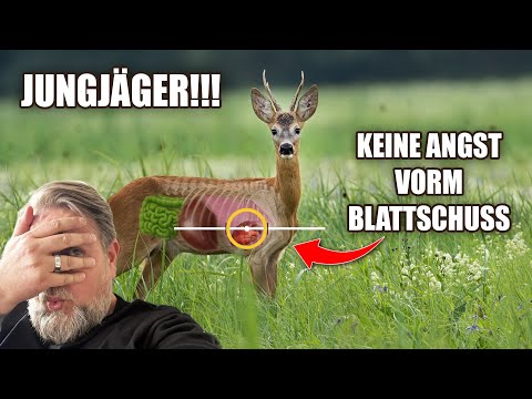 Young hunters: Don’t be afraid of the bullet!