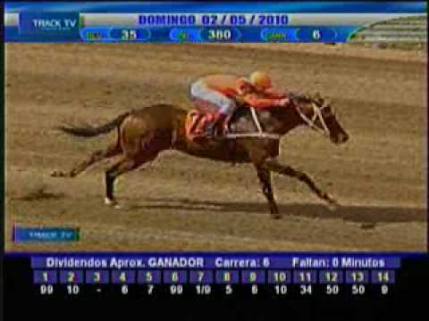Resumen domingo 2 de mayo 2010 - La Rinconada