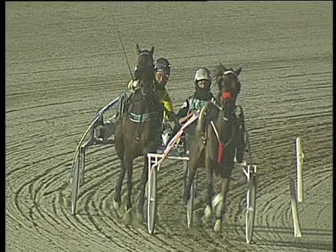 Trotto 25/02/2018 - Minitrotter