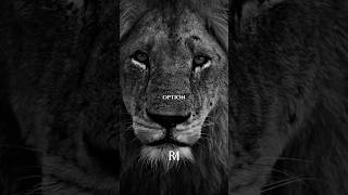 You Don’t Need Perfect Conditions.