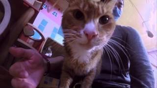 Primary(프라이머리) Feat. Ohhyuk(오혁)- Rubber(러버) MV / EatYeot