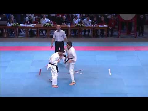 Artsrun Misakyan (ARM) - Onurcan Istenci (TUR) KWU Kyokushin World Championship(1/8,-90kg)03.11.2015