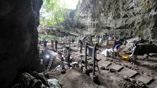 New species of early human found in Philippines