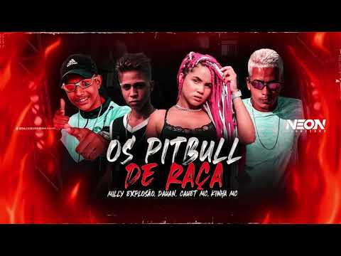 🔵Milly explosão - Dauan - Cauet - Mc - Kinha Mc - Os Pitbull De Raça - Brega Funk