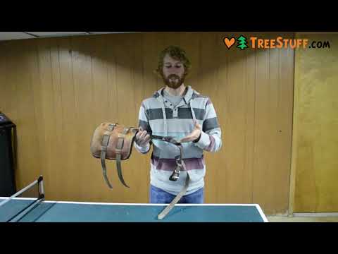 YouTube Thumbnail d-OKNqjNJg8