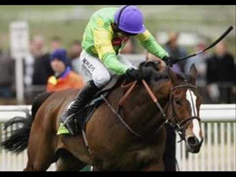 Kauto Star 2007 gold cup winner
