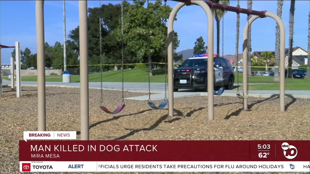 Man dies after dogs attacked him at Mesa Viking Park
