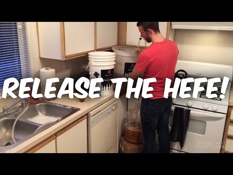 Homebrew Transferring Hefe To Secondary Fermenter