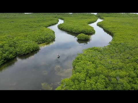 A Kayak Fishing road trip to Boca Raton and Key Largo. Two parks and some amazing drone scenery.