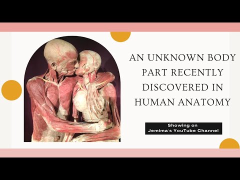 They just discovered an UNKNOWN BODY PART IN HUMAN ANATOMY | My reaction + Share your thoughts