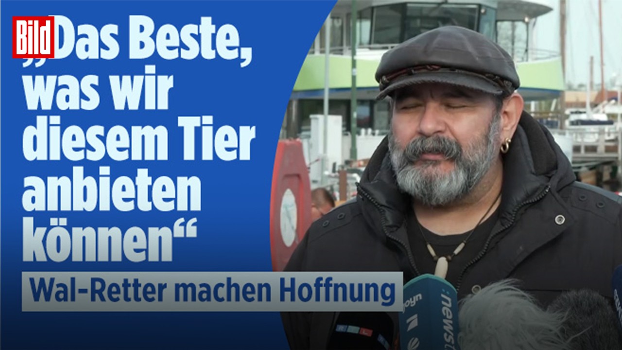 Timmy kämpft weiter!: Wal-Experten haben einen neuen Plan!