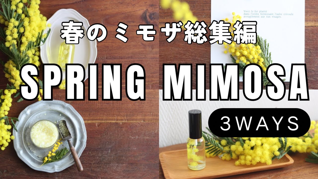 ミモザを楽しむ3つの方法｜Mimosa Collection Spring Ideas for Home