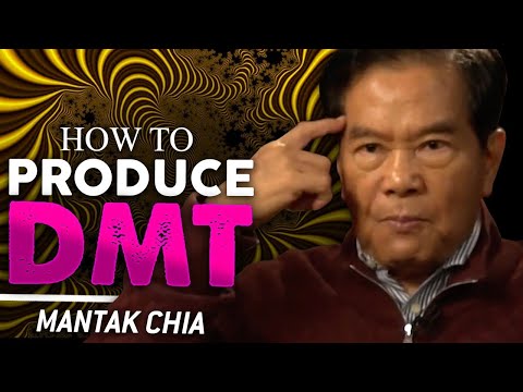 天然DMTを生産する方法：精神分子の重要性についてのマスターMantak Chia (HOW TO PRODUCE NATURAL DMT: Master Mantak Chia On The Importance Of The Spirit Molecule)