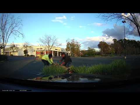 Assault in Vallejo, CA