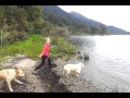 6 Doggie Swim Time Mp4