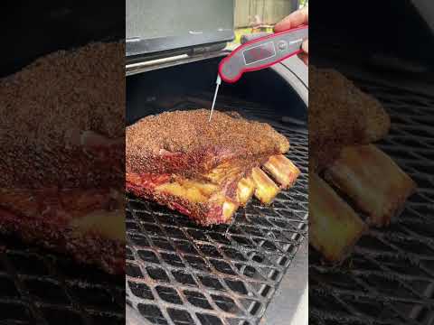 MASSIVE Slab of Texas Beef Dino Ribs