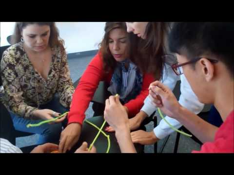 Self Organizing Teams