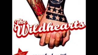 The Wildhearts - You&#39;ve Got To Get Through What You&#39;ve Got To Go Through