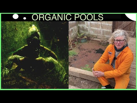 Greenhouse Pool Trilogy 2 :Winter - Beware the Turtles
