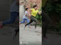 Main Parinda Kyo Banu Mjhe Aasman Ban Na H ️‍ ️ Shailichikara Shorts